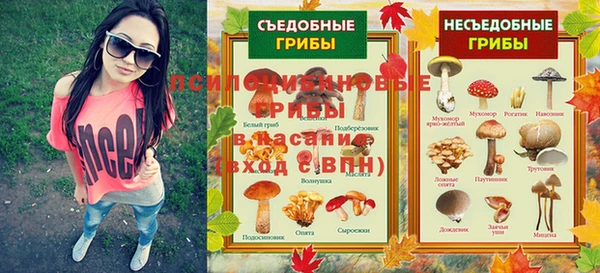 индика Костерёво