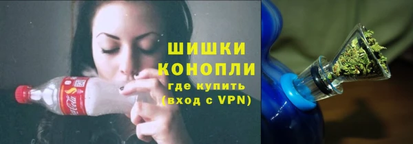 индика Костерёво