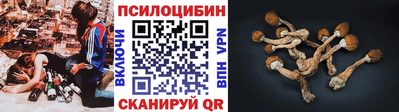 Псилоцибиновые грибы GOLDEN TEACHER  Купить закладки  Дно 